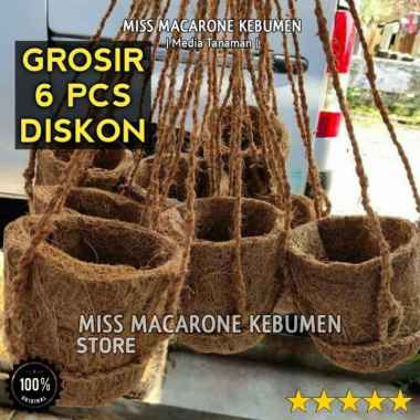cocopot pot serabut kelapa gantung kokedama keren