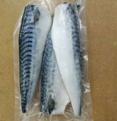 Makarel Fillet / Sarden