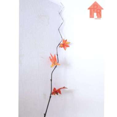 Bambu Dekoratif | Bambu Ulir Berdaun Dan Berbunga Maple Orange