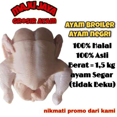 AYAM BROILER 1.5 Kg AYAM UTUH / AYAM 1 EKOR / AYAM SEGAR / AYAM FRESH