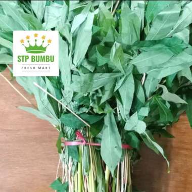 Daun Singkong Segar 1kg / Sayur Fresh Pakai Tangkai