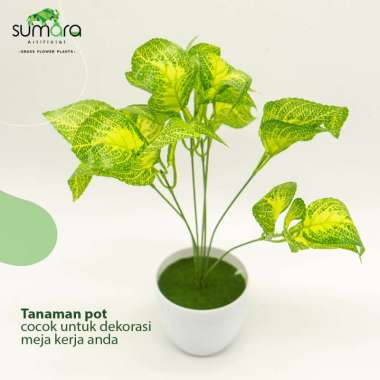 Tanaman Sintetis / Tanaman Palsu Aglaonema Tangkai