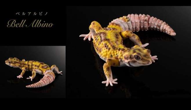 [Bandai] Gashapon Premium Advance Leopard Gecko - Bell Albino