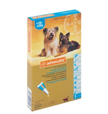 Jual Obat Kutu Anjing Terbaru 2020 Harga Murah Blibli Com
