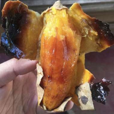 ubi madu lumer cilembu