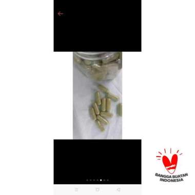 Kapsul Sambiloto 100 Kapsul Penangkal Covid