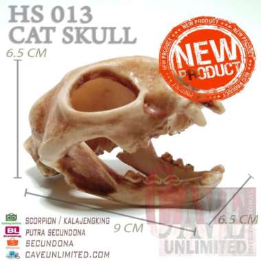 OEM Hiding cat skull tempat sembunyi hewan tengkorak kepala kucing HC013