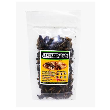 Jual Burung Anis Merah Terbaru Harga Murah Blibli Com