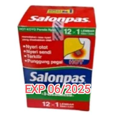 Salonpas Hot Koyo Pereda Nyeri /Salonpas Merah/12 lembar