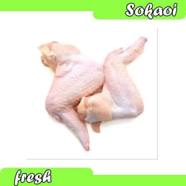 CHICKEN WING SAYAP AYAM POTONG AYAM POTONG SEGAR AYAM BROILER