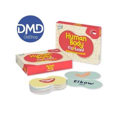 Human Body Flash Card Mainan Anak Flash Card Human Body Promo