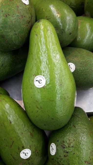 Buah Alpukat Mentega Super