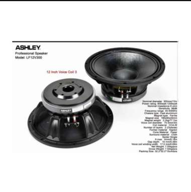 Speaker Ashley 12 inch LF12V300