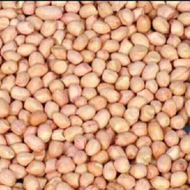 kacang tanah 1 kg