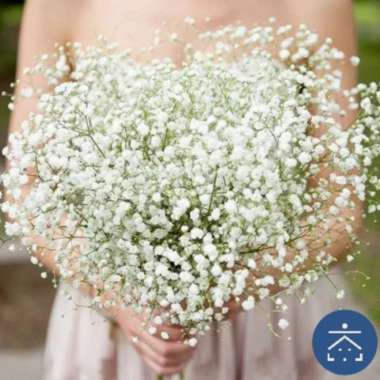 Baby Breath Tanaman Hias Plastik Import Murah Lavender Mawar Sakura warna Red