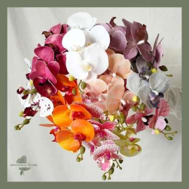 Artificial Flower Baby Orchids 5 Head Bunga Anggrek Latex Tebal Hias warna WHITE