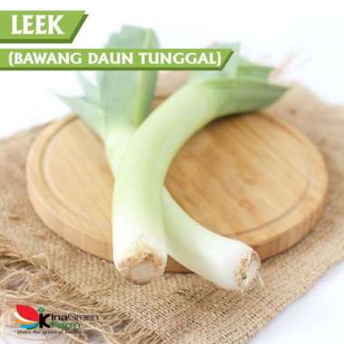 Leek / Bawang Daun Prei / Bawang Daun Tunggal Inagreen Farm Bandung