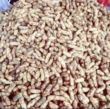 Kacang tanah Basah/kg 1 kg