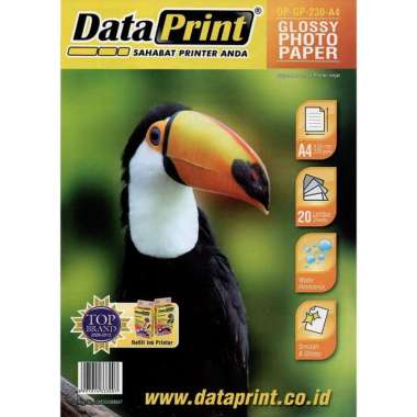 KERTAS FOTO GLOSSY DATA PRINT 230-A4