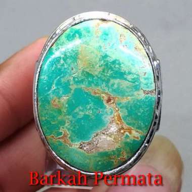 Jual Pirus Urat Emas Online Terbaru Desember 2021 Blibli