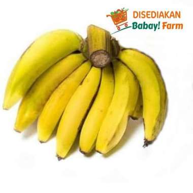 Pisang Ambon 1 Sisir