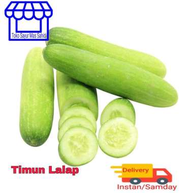 Timun lalap timun muda acar || berat 1 kg