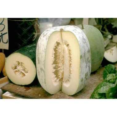 Buah Labu Kundur / Tung Kua / Winter Melon 500 Gram