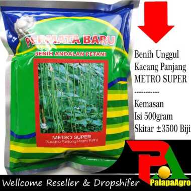 Jual Bibit Kacang Panjang Agustus 2021 Banyak Pilihan Harga Murah Blibli