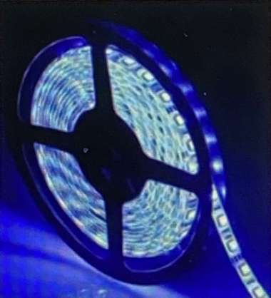 LAMPU LED STRIP LIGHT 2835 SMD IP33 INDOOR 5 METER Biru