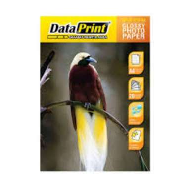 KERTAS FOTO DATA PRINT 210GSM GLOSSY