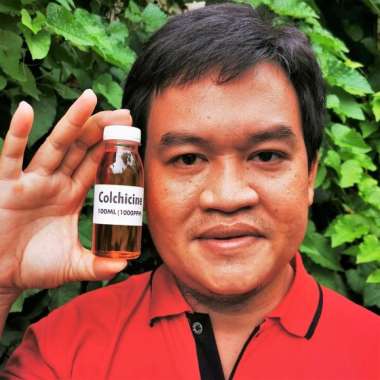 Hormon Tanaman Colchicine Kolkisin 100ml Mutasi Raksasa Polipoid Multicolor