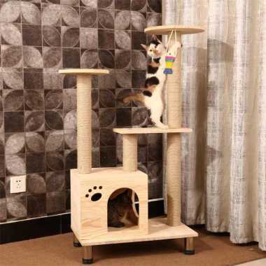 jual cat condo