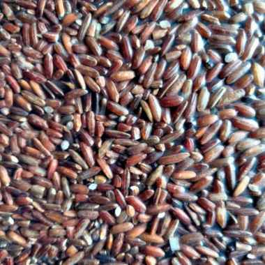 Jual Beras Merah Anik 1 Kg Terbaru 2021 Harga Termurah 