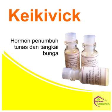 Keikivick Hormon Penumbuh Tunas Tangkai Bunga Anggrek keiki