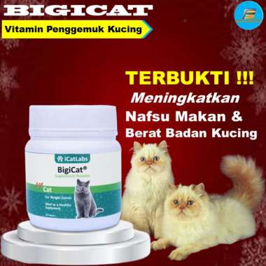 Jual A2 Salatiga Gratis Ongkir Harga Murah 2022 Blibli