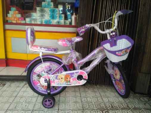 Sepeda Anak Mini 16 Princess Michel Frozen