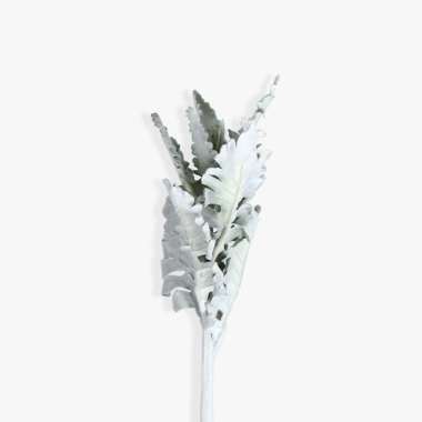 KANA Milano - Dekorasi Tanaman