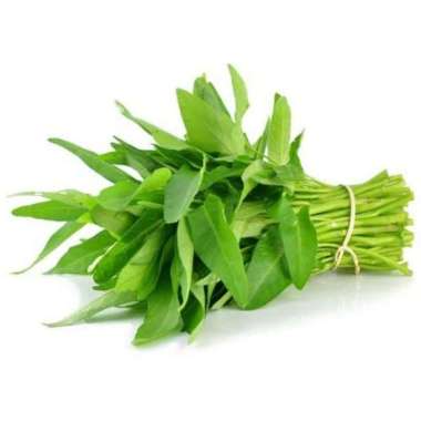 99 kangkung organik pack