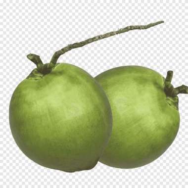 KELAPA IJO