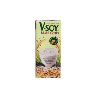 V-SOY MULTI GRAIN SOY MILK 200ML