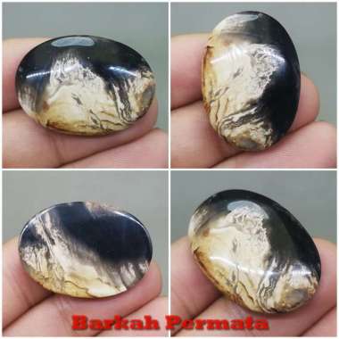 Batu Fosil Galih Kelor Hitam Coklat Asli hitam coklat
