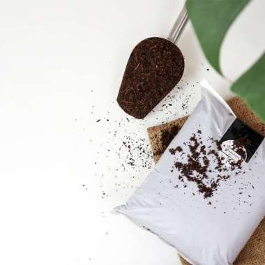 Media Tanam Monstera Media Tanam Organik Khusus Monstera 1 Kg