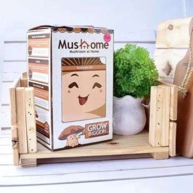 Mushome Media Tanam Jamur Tiram Putih