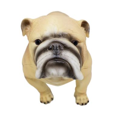 Jual Anak Anjing Bulldog Online Baru Harga Termurah Februari