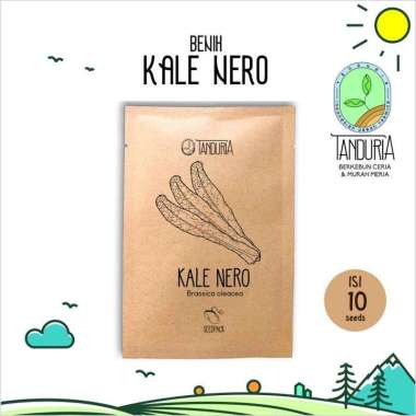 TANDURIA - Benih Super Sawi Kale Nero Sayur Bibit Biji Sayur Sayuran