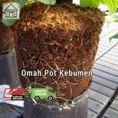 Cocopeat / sabut kelapa murni kemasan 1kg (omah)