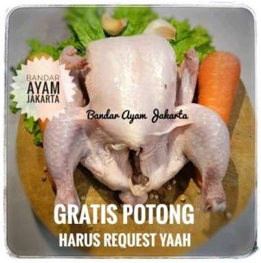 Ayam Potong Frozen UK10/1000-1100gr/Ayam Karkas/Ayam Broiler potong 12