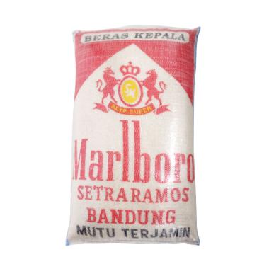 Beras 50kg Harga Terbaru Mei 2021 Beras 50kg Harga Terbaru Mei 2021