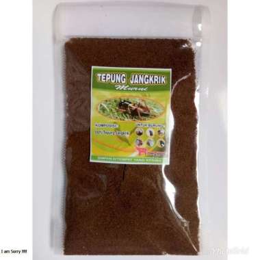 TEPUNG JANGKRIK 50 GR PAKAN BURUNG PANCAWARNA PRENJAK CUCAK ROWO CITO