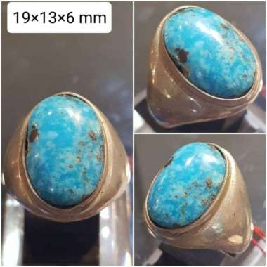 Jual Pirus Urat Emas Terbaik Maret 2022 - Harga Murah ...